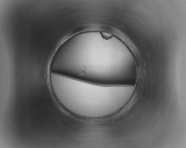 X0000102300858200807251020