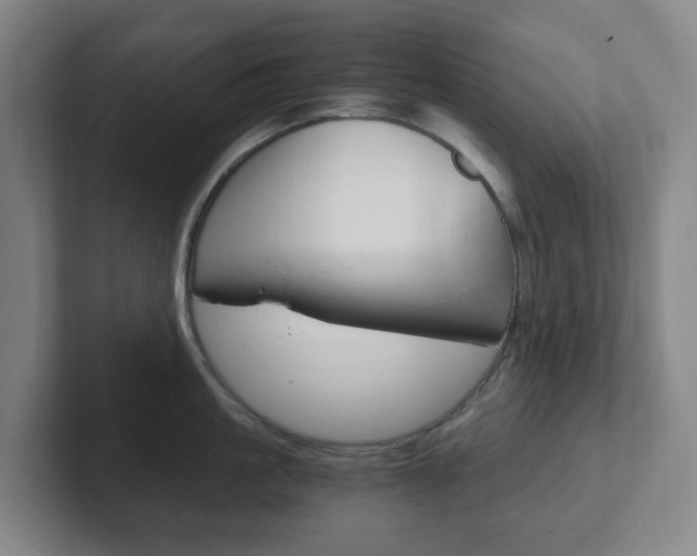 X0000102300861200807251020