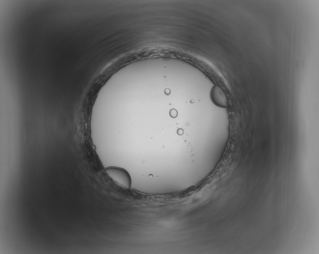 X0000102300871200807251019
