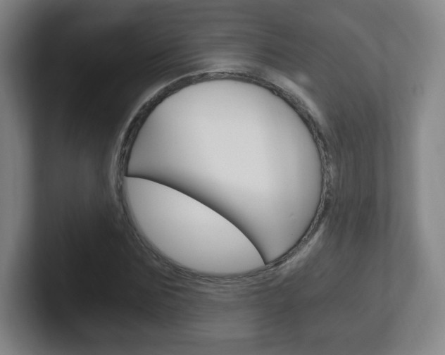 X0000102300875200807251019