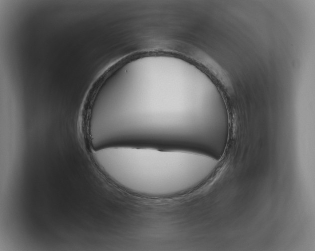 X0000102300876200807251019