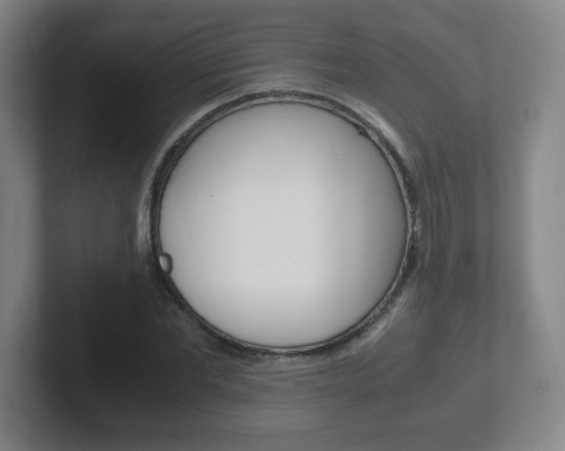 X0000102300877200807251019