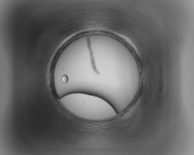 X0000102300879200807251019