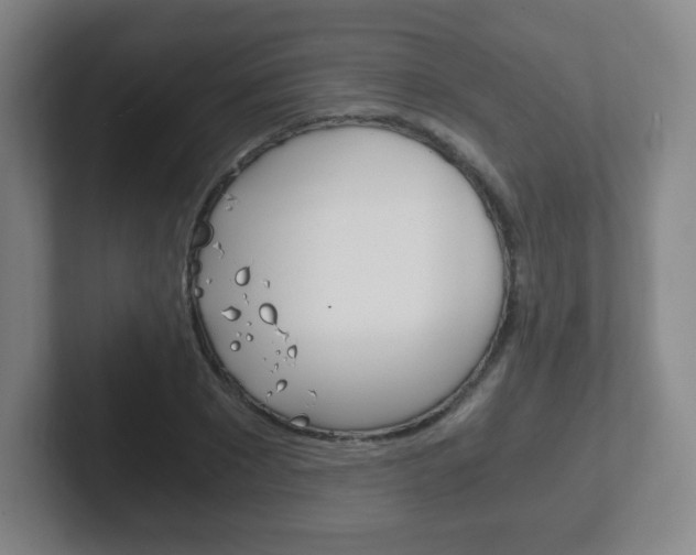 X0000102300881200807251019
