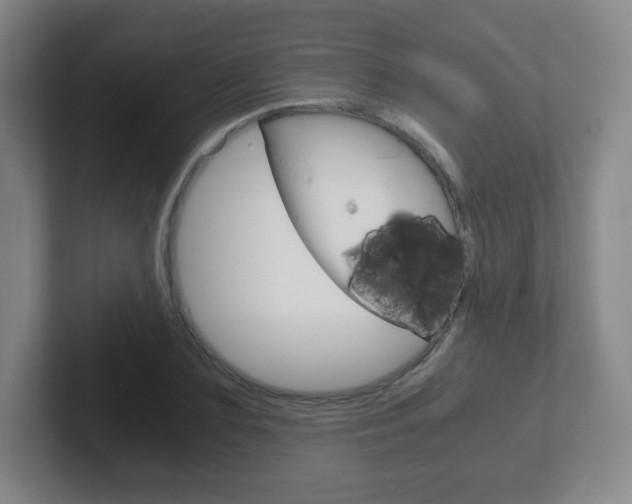 X0000102300883200807251019