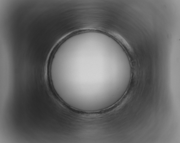 X0000102300884200807251019
