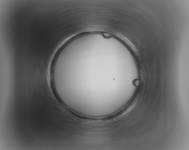 X0000102300885200807251019