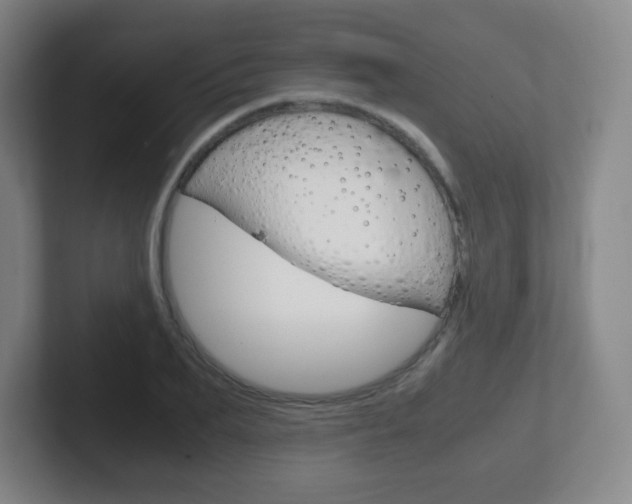 X0000102300887200807251019