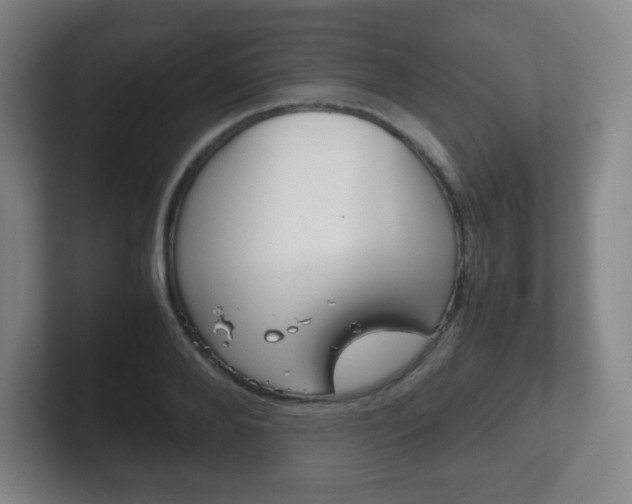 X0000102300888200807251019