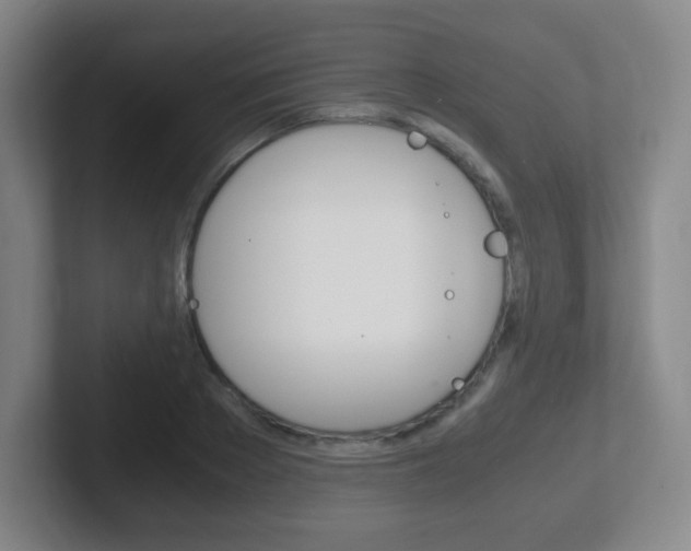 X0000102300889200807251019