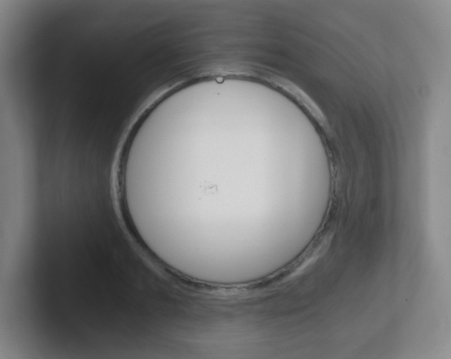 X0000102300893200807251019