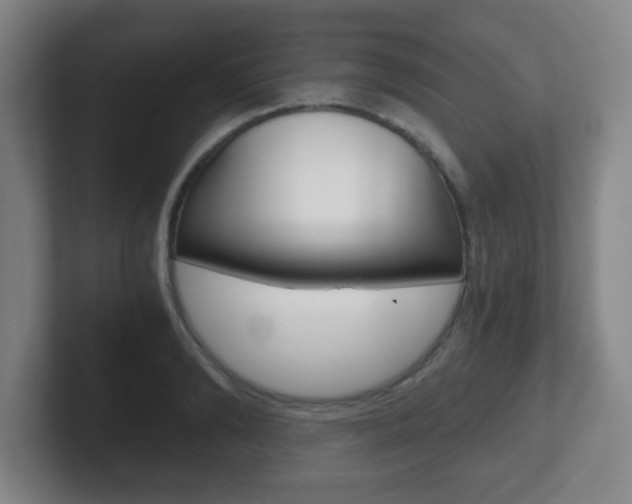 X0000102300894200807251019