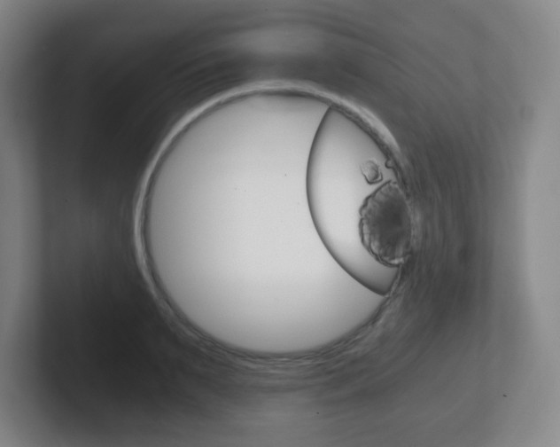 X0000102300895200807251019