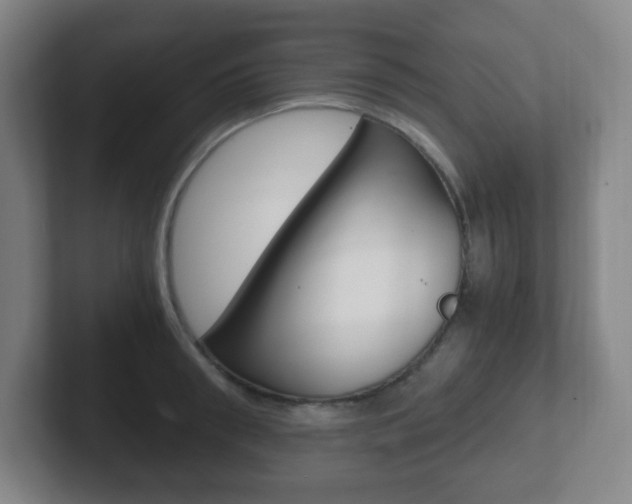 X0000102300898200807251019