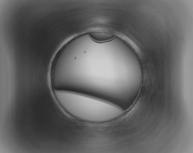X0000102300902200807251019