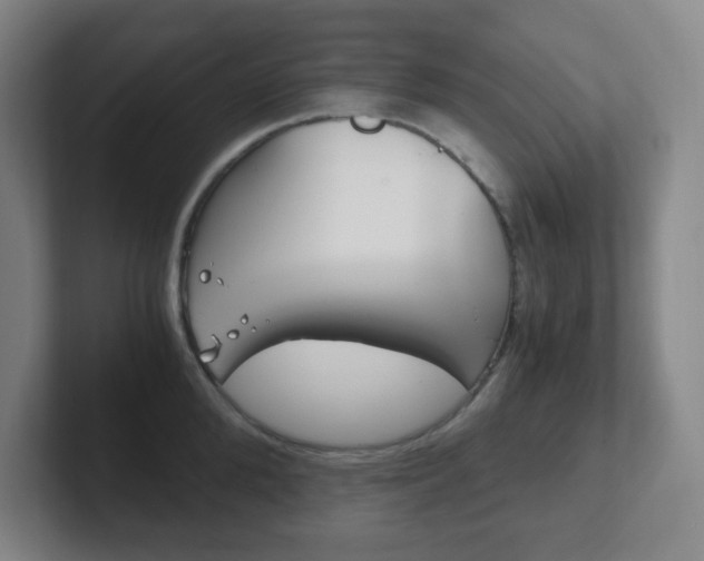 X0000102300904200807251019