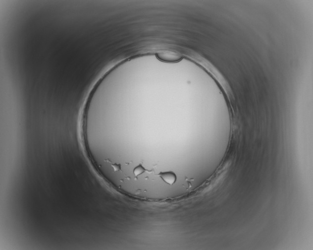 X0000102300909200807251018