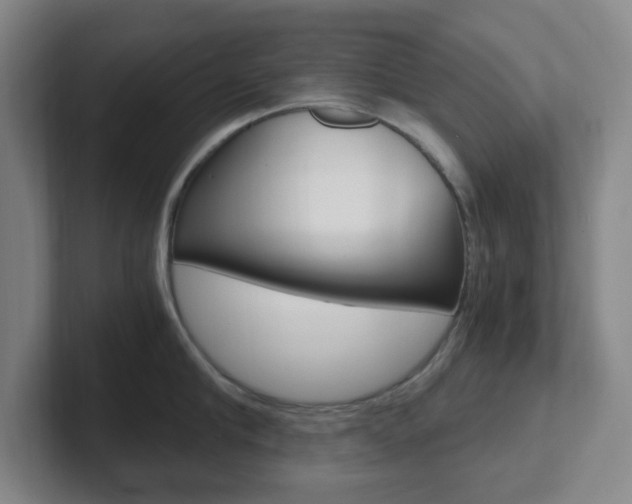 X0000102300910200807251018