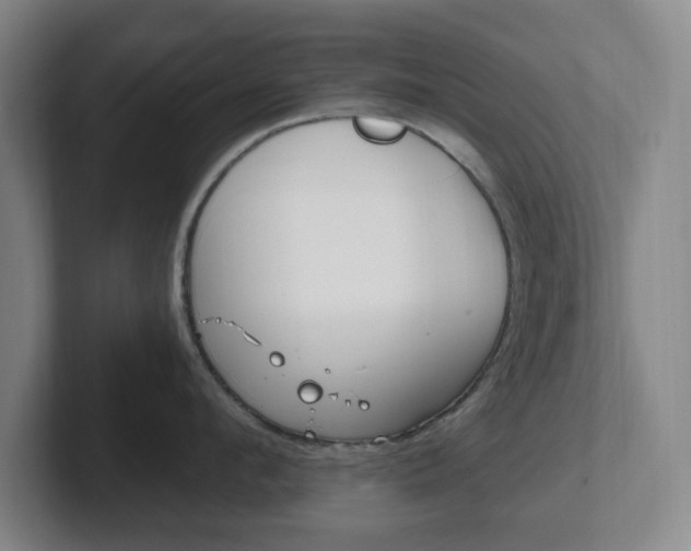 X0000102300912200807251018