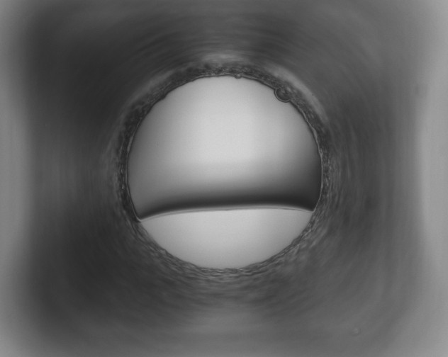 X0000102300919200807251018