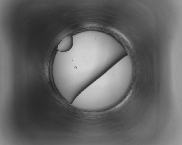 X0000102300921200807251018