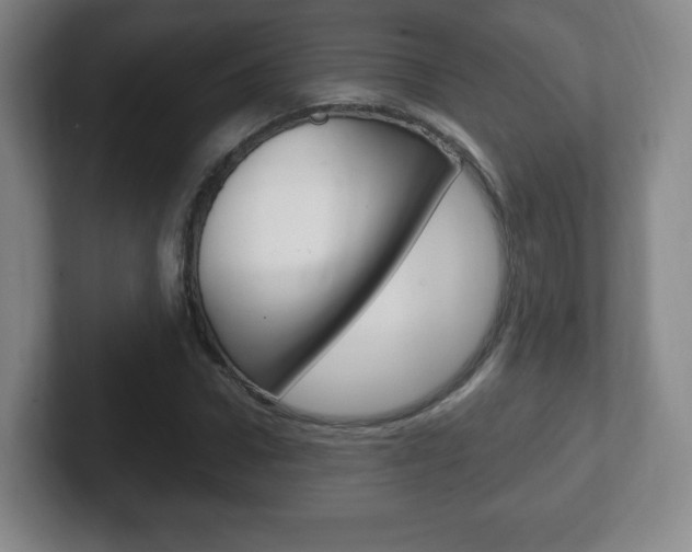 X0000102300922200807251018