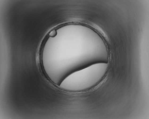 X0000102300924200807251018