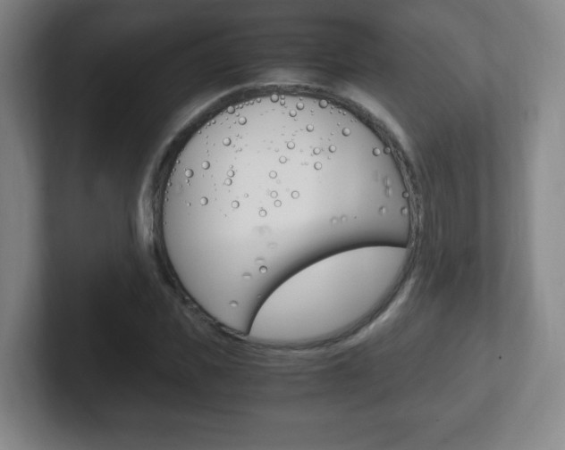 X0000102300925200807251018
