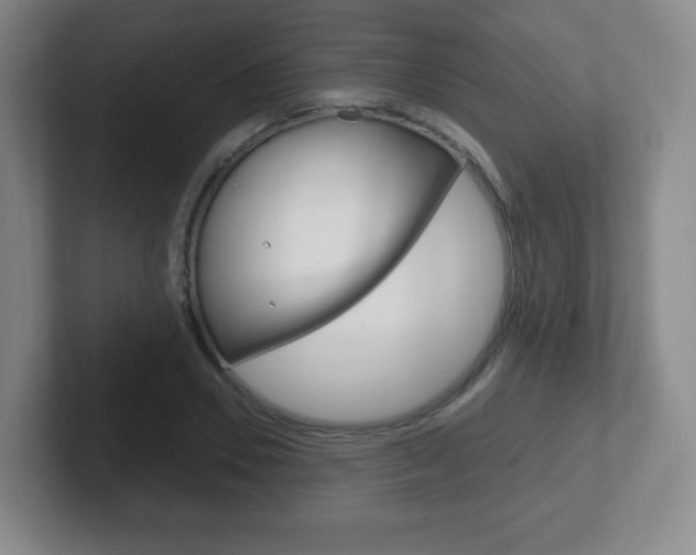 X0000102300930200807251018
