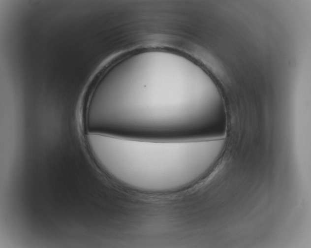 X0000102300934200807251018