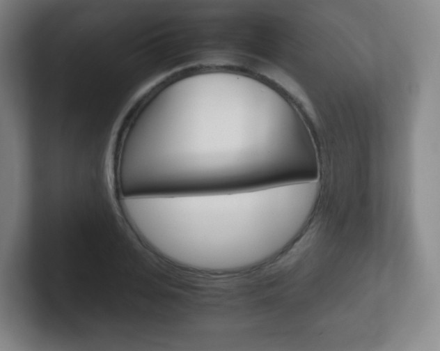 X0000102300935200807251018
