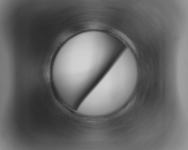 X0000102300938200807251018