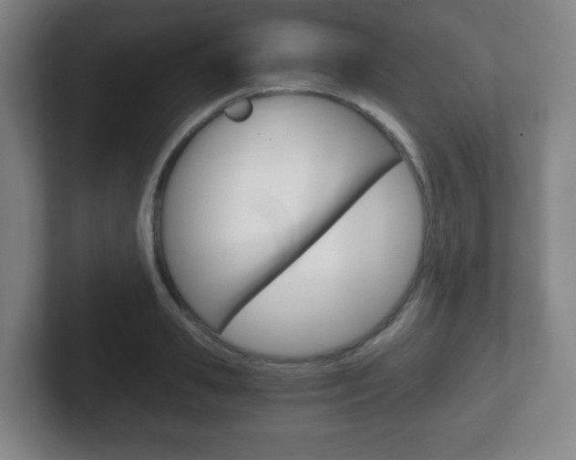 X0000102300941200807251018