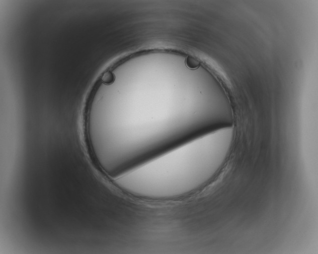 X0000102300942200807251018