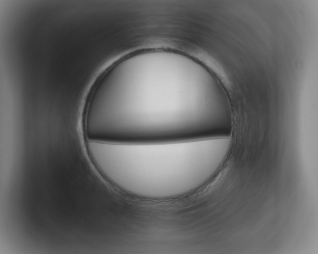 X0000102300943200807251018