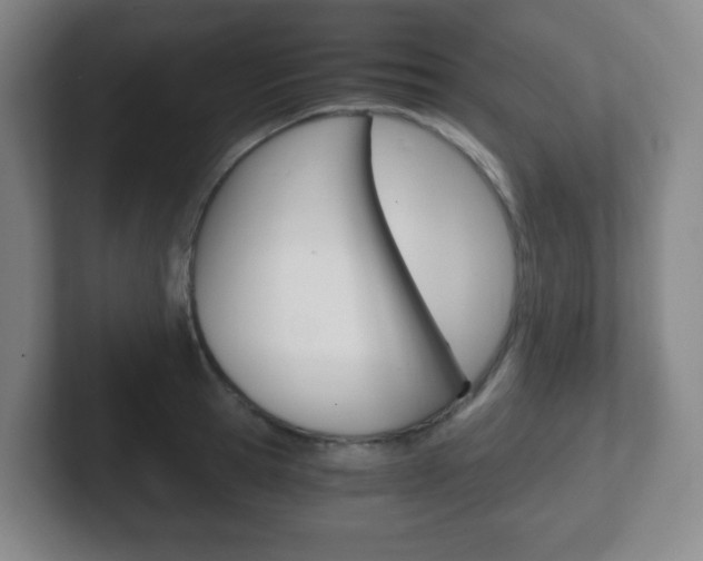 X0000102300945200807251018