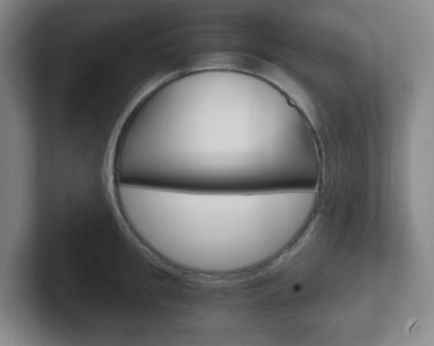 X0000102300949200807251018