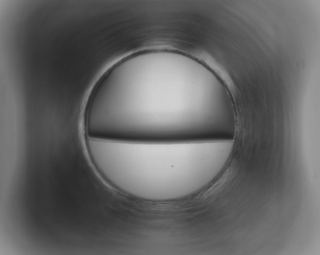 X0000102300951200807251018