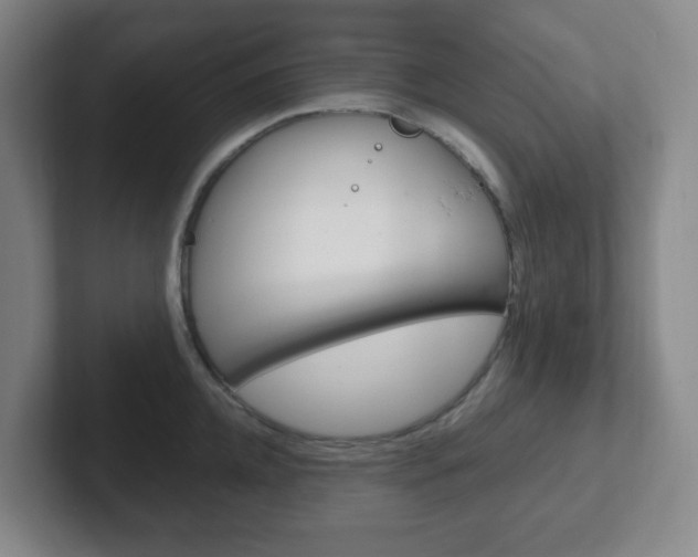 X0000102300952200807251018
