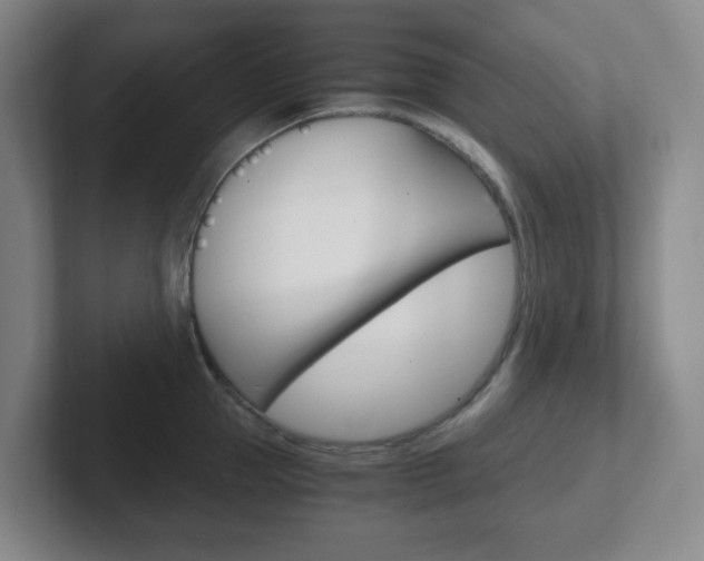 X0000102300953200807251018