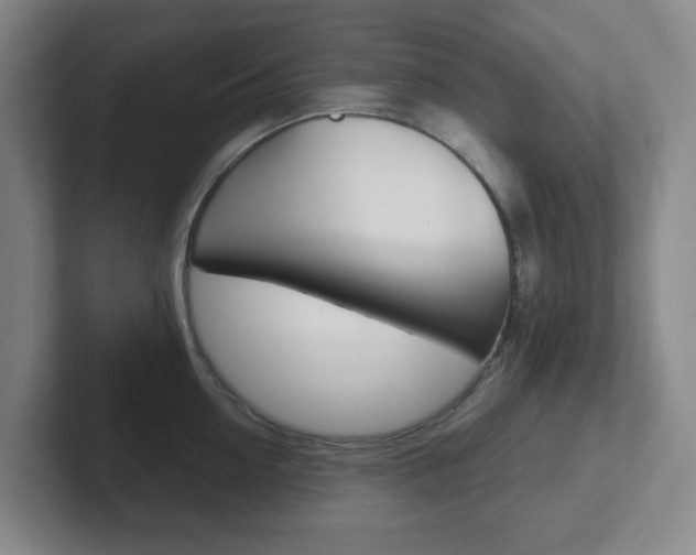 X0000102300954200807251018