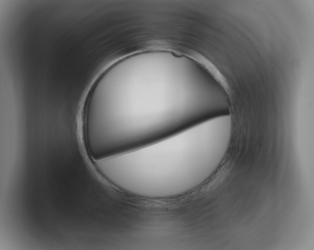 X0000102300955200807251018