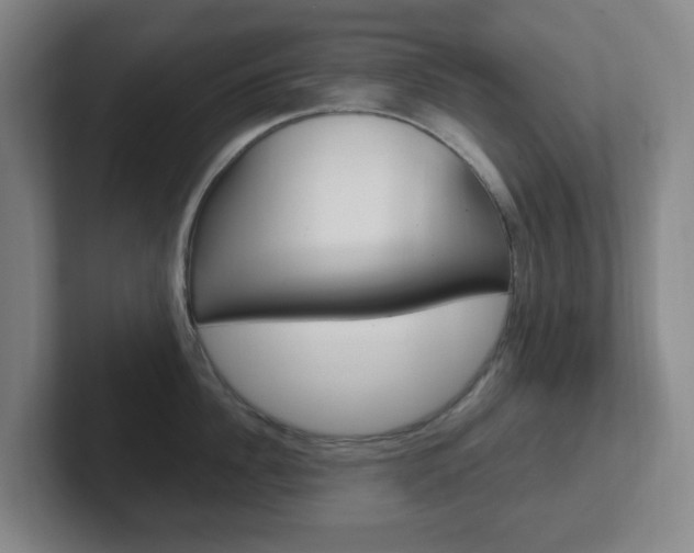 X0000102300956200807251018