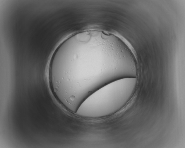 X0000102300957200807251018