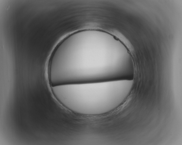 X0000102300958200807251018