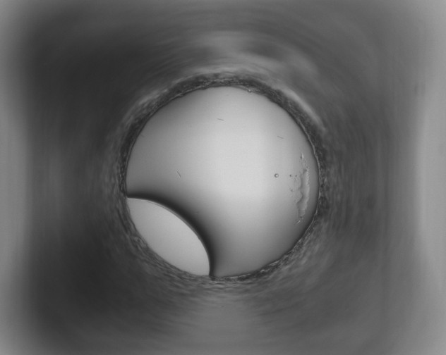 X0000102300967200807251018