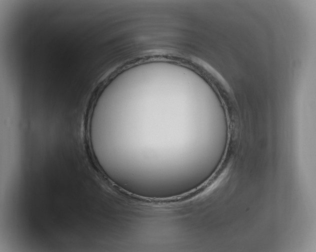 X0000102300969200807251018