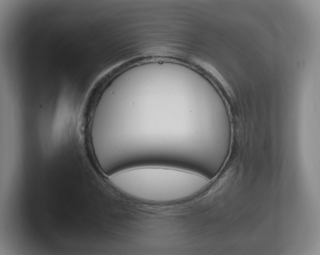 X0000102300971200807251018