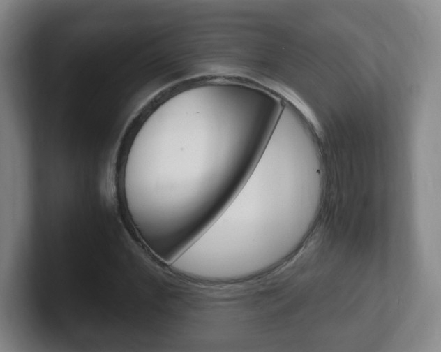 X0000102300972200807251018