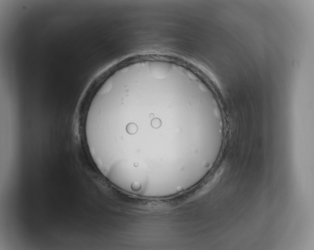 X0000102300974200807251018